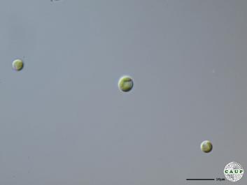 H6003_6.JPG