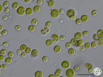 H6004a_4.JPG