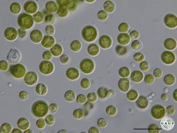 H6004a_5.JPG