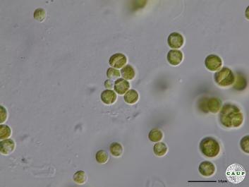 H6004a_7.JPG