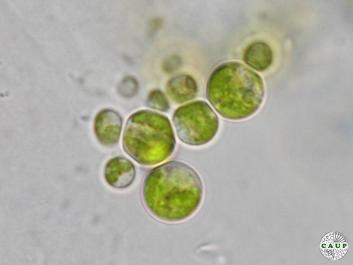 H6004b_3.jpg