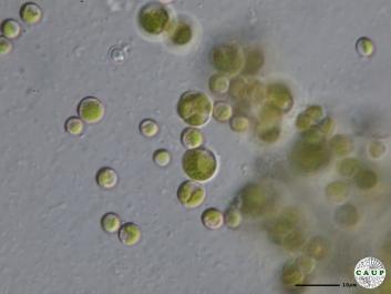 H6004b_4.JPG