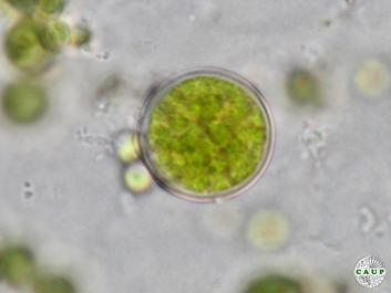 H6004b_4.jpg