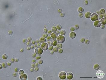 H6006_1.JPG