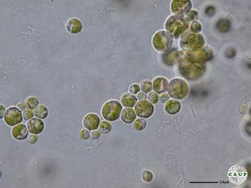 H6006_4.JPG