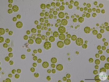 H6007_10.JPG
