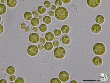 H6007_3.JPG