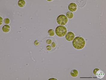 H6007_5.JPG