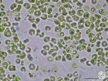 H601_1.JPG