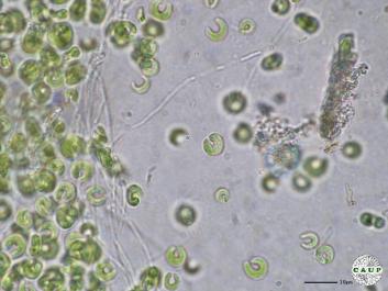 H601_2.JPG