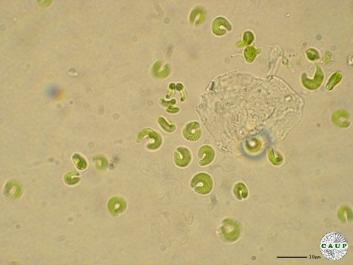 H601_3.JPG