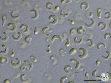 H603_11.JPG