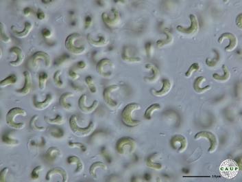 H603_1.JPG