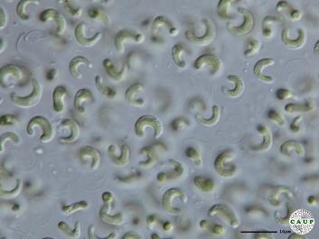 H603_2.JPG