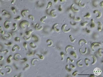 H603_4.JPG