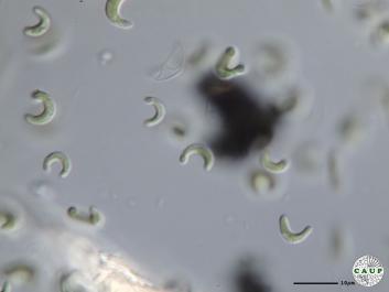 H603_7.JPG