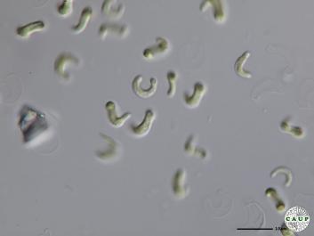 H603_8.JPG
