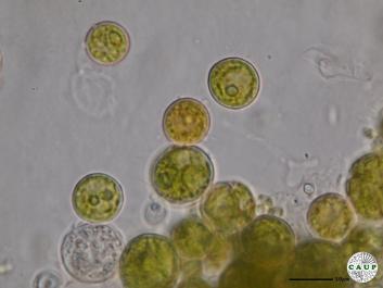 H6101_1.JPG