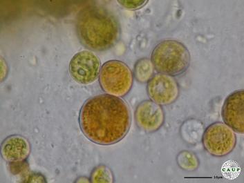 H6101_2.JPG