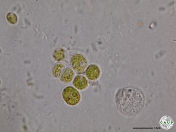 H6101_3.JPG