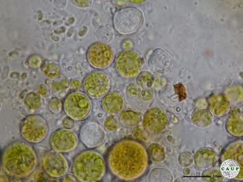 H6101_4.JPG
