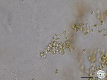 H6202_2.JPG