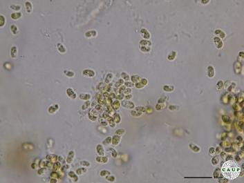 H6202_3.JPG