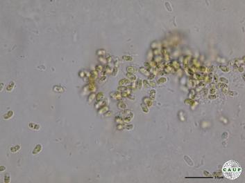 H6202_4.JPG