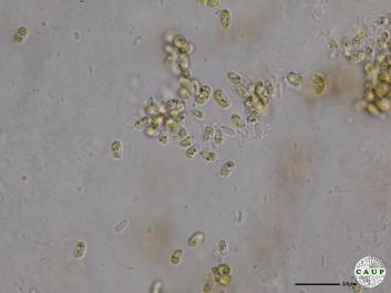 H6202_5.JPG