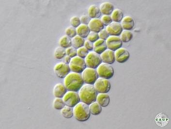 H6301_3.jpg