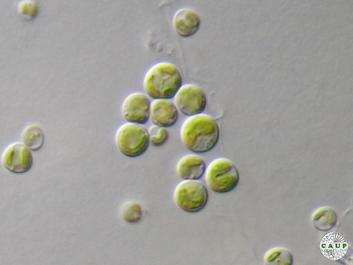 H6301_4.jpg