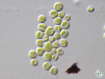 H6301_8.jpg