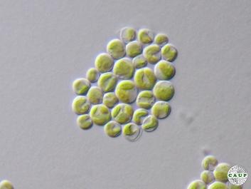 H6301_9.jpg