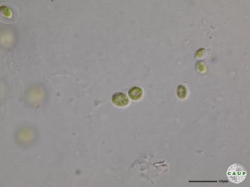 H6401_1.JPG