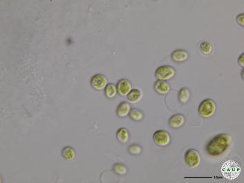 H6401_2.JPG