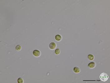 H6401_4.JPG