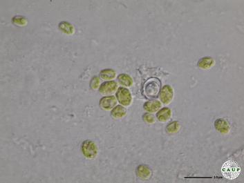 H6401_8.JPG