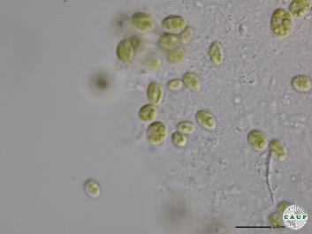 H6401_9.JPG
