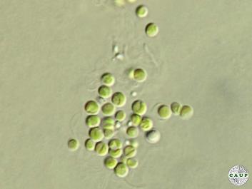 H6501_1.JPG