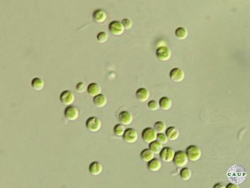 H6501_2.JPG