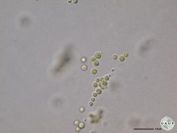 H6501_3.JPG