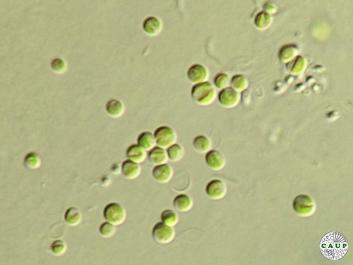 H6501_3.JPG