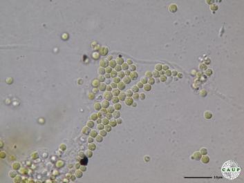 H6501_4.JPG
