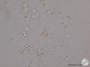 H6502_1.JPG