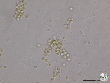 H6502_3.JPG