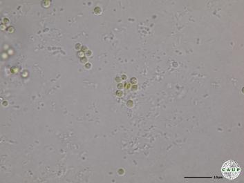 H6502_4.JPG