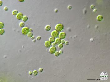 H6503_1.JPG