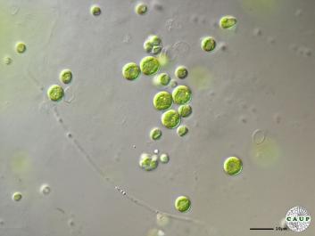 H6503_3.JPG
