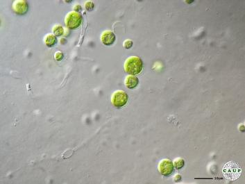 H6503_5.JPG