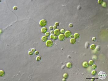 H6503_6.JPG